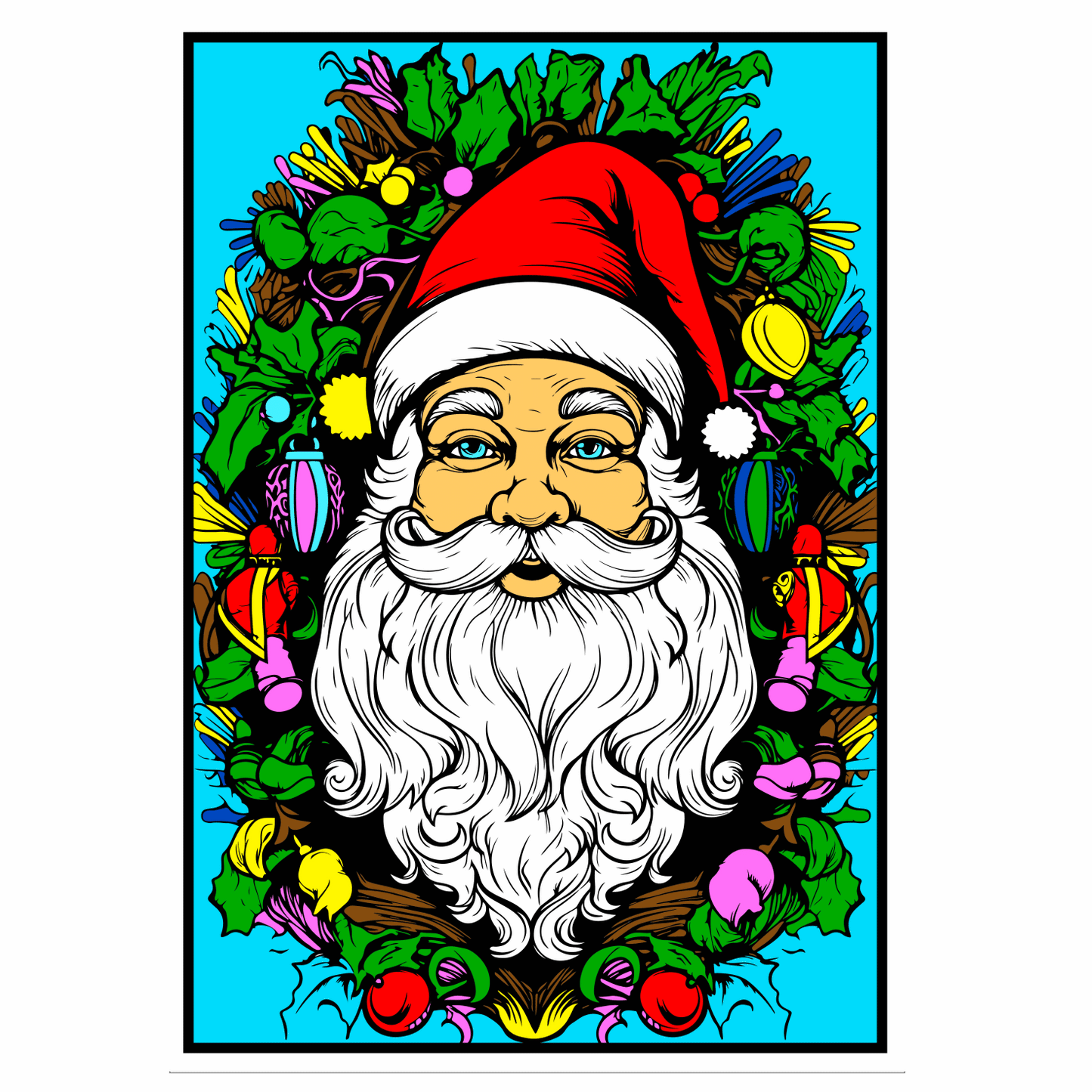 Christmas santa portrait