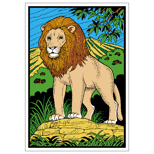 Lion image