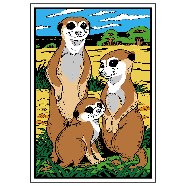 Meerkats image