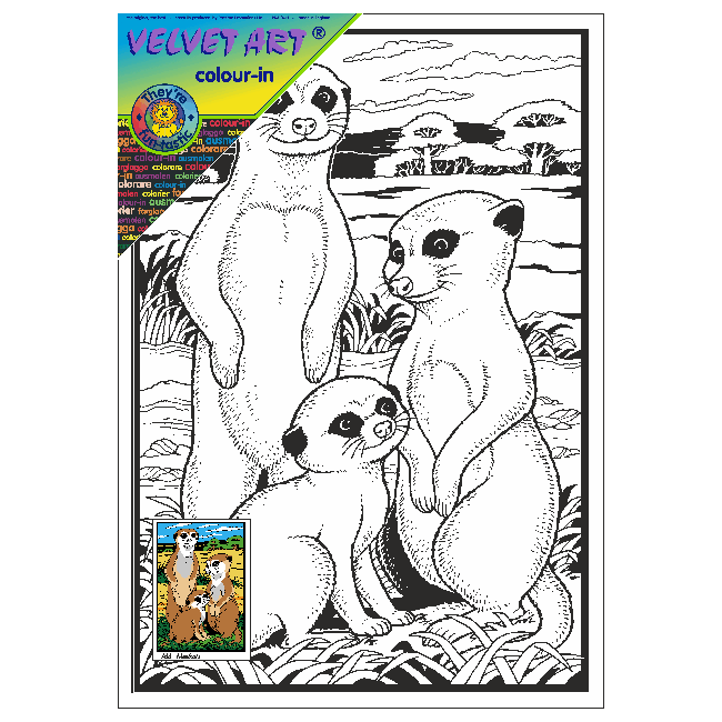 Meerkats