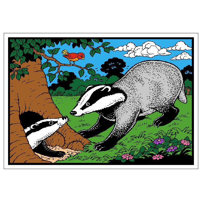 Badger image