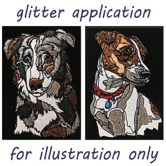 Border Collie & Jack Russell image