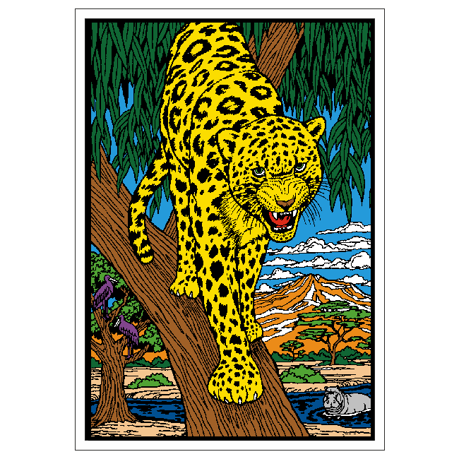 Leopard image