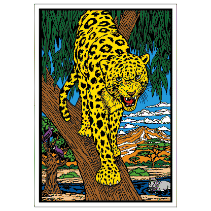 Leopard image