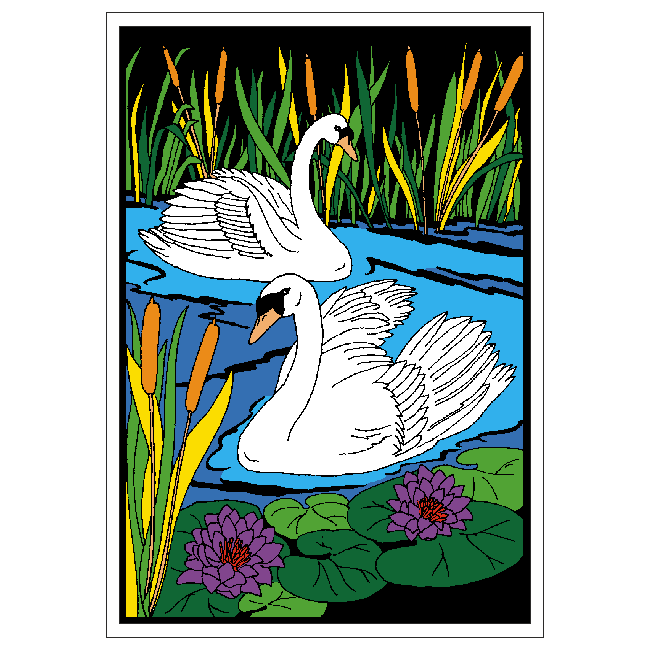 Swans image